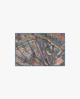 Althea Multicolor Rug