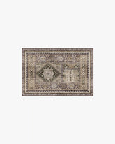 Rumi Olive & Tan Rug