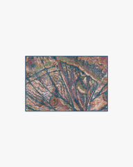 Althea Multicolor Rug